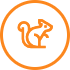 Close-up of a rodent managed through Agile's expert rodent removal services.