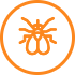 Close-up of a fly, managed through Agile's expert fly control services.