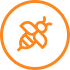 Close-up of a stinging insect, managed through Agile's expert insect removal services.