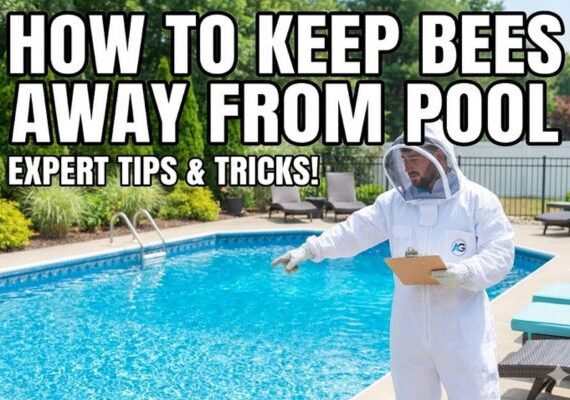 how to keep bees away from pool