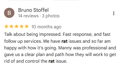 customer review about rat control service and fast response