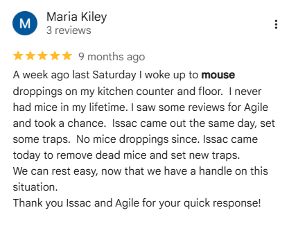 five star customer review about mouse control service and quick response