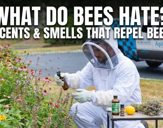 what do bees hate?scents & smells that repel bees