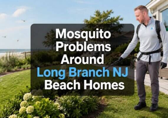 technician inspecting a Long Branch NJ beach home for mosquito breeding areas