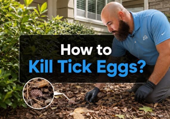 Pest control technician inspecting leaf litter around a home while looking for tick eggs