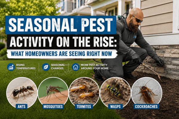 Seasonal Pest Activity on the Rise: What Homeowners Are Seeing Right ...